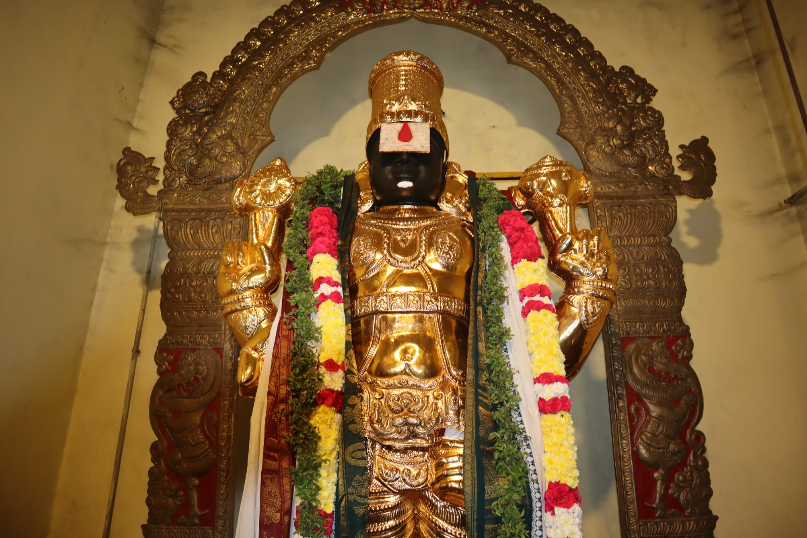 WhatsApp Image 2026-02-05 at 3.14.08 PM