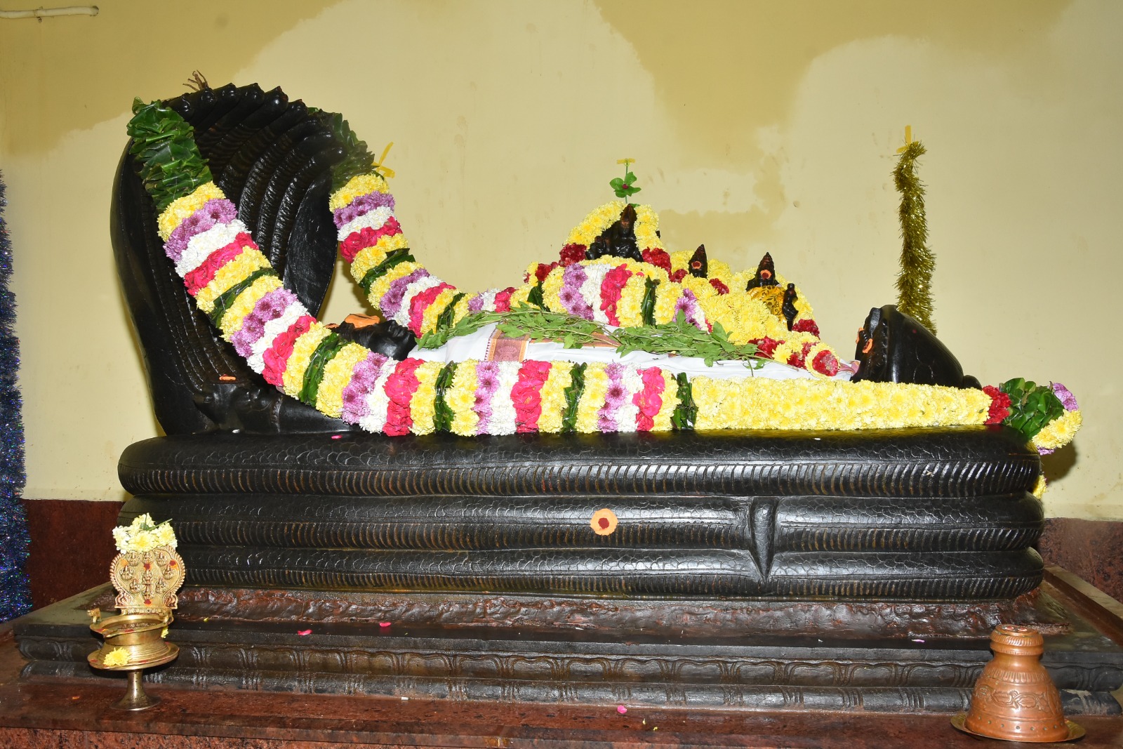 WhatsApp Image 2026-02-05 at 3.14.23 PM (1)