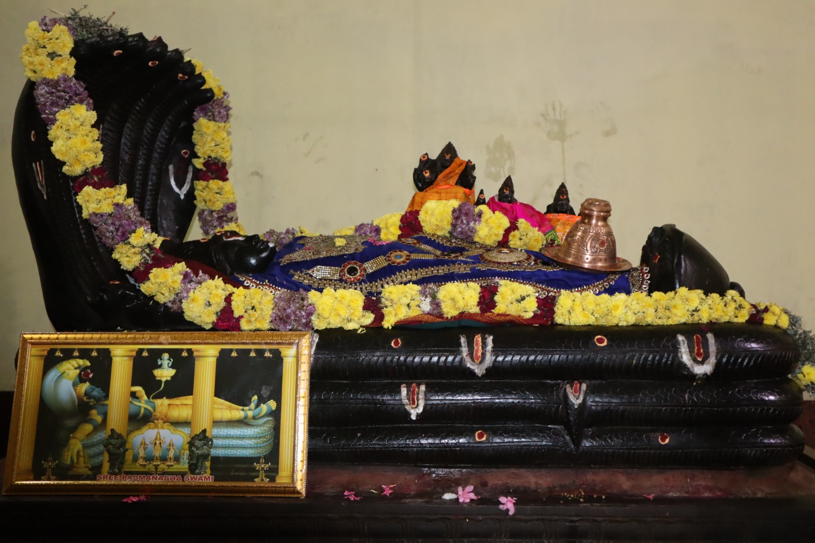 WhatsApp Image 2026-02-08 at 1.26.21 PM