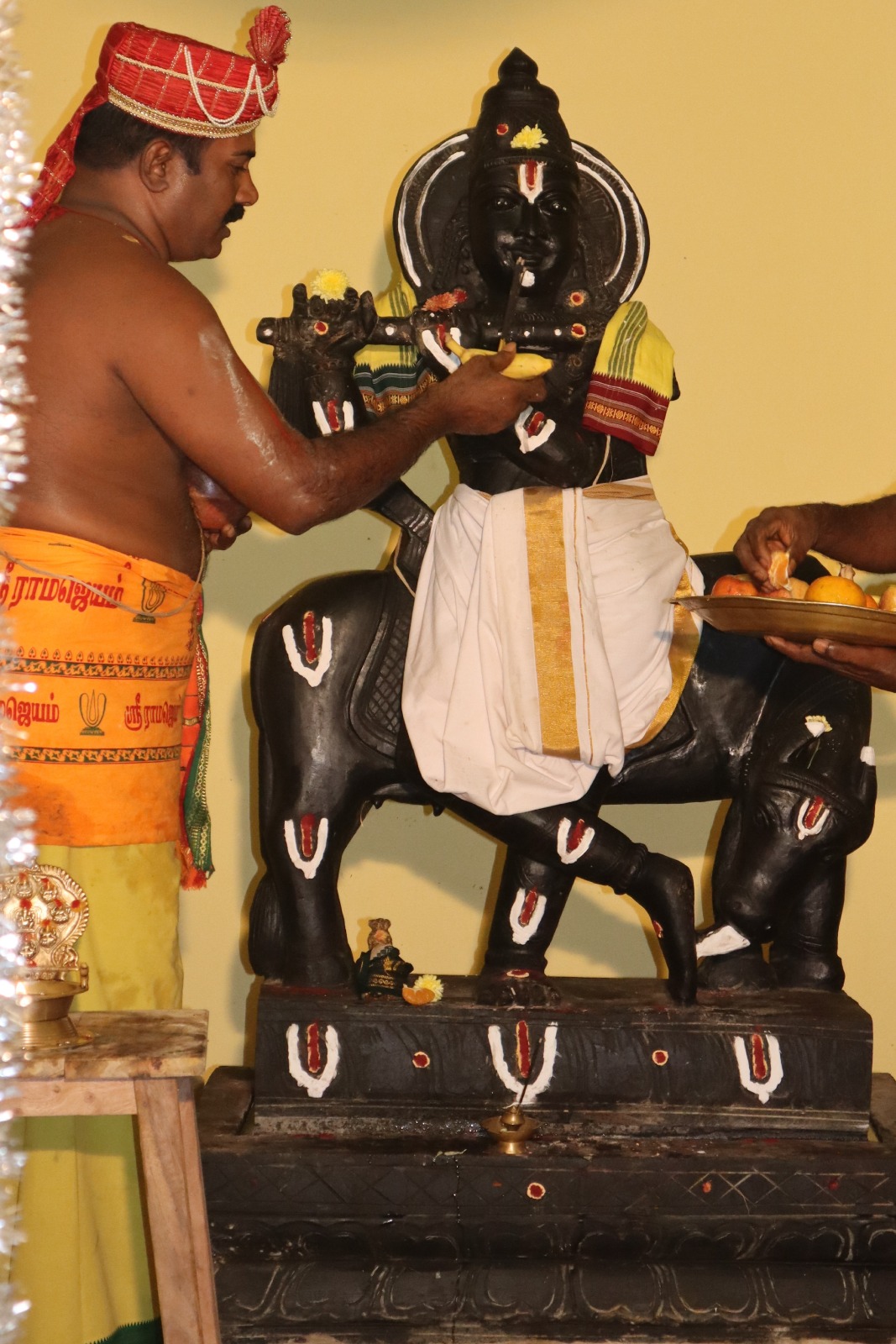 WhatsApp Image 2026-02-08 at 4.28.09 PM