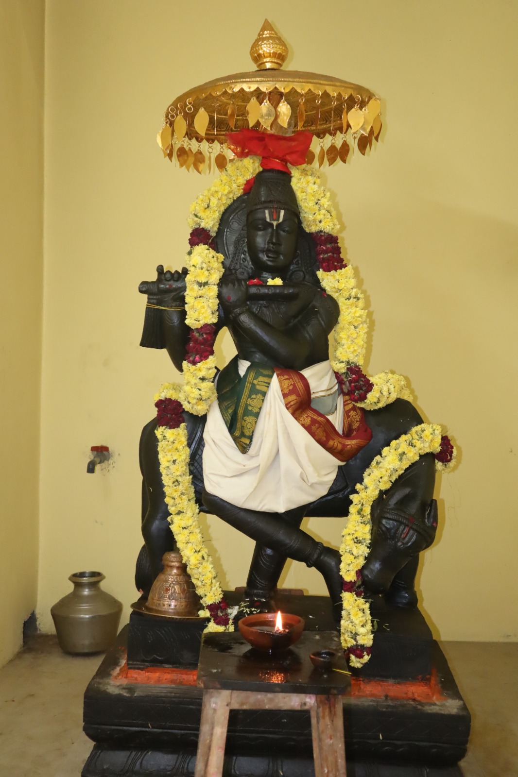 WhatsApp Image 2026-02-08 at 4.28.46 PM