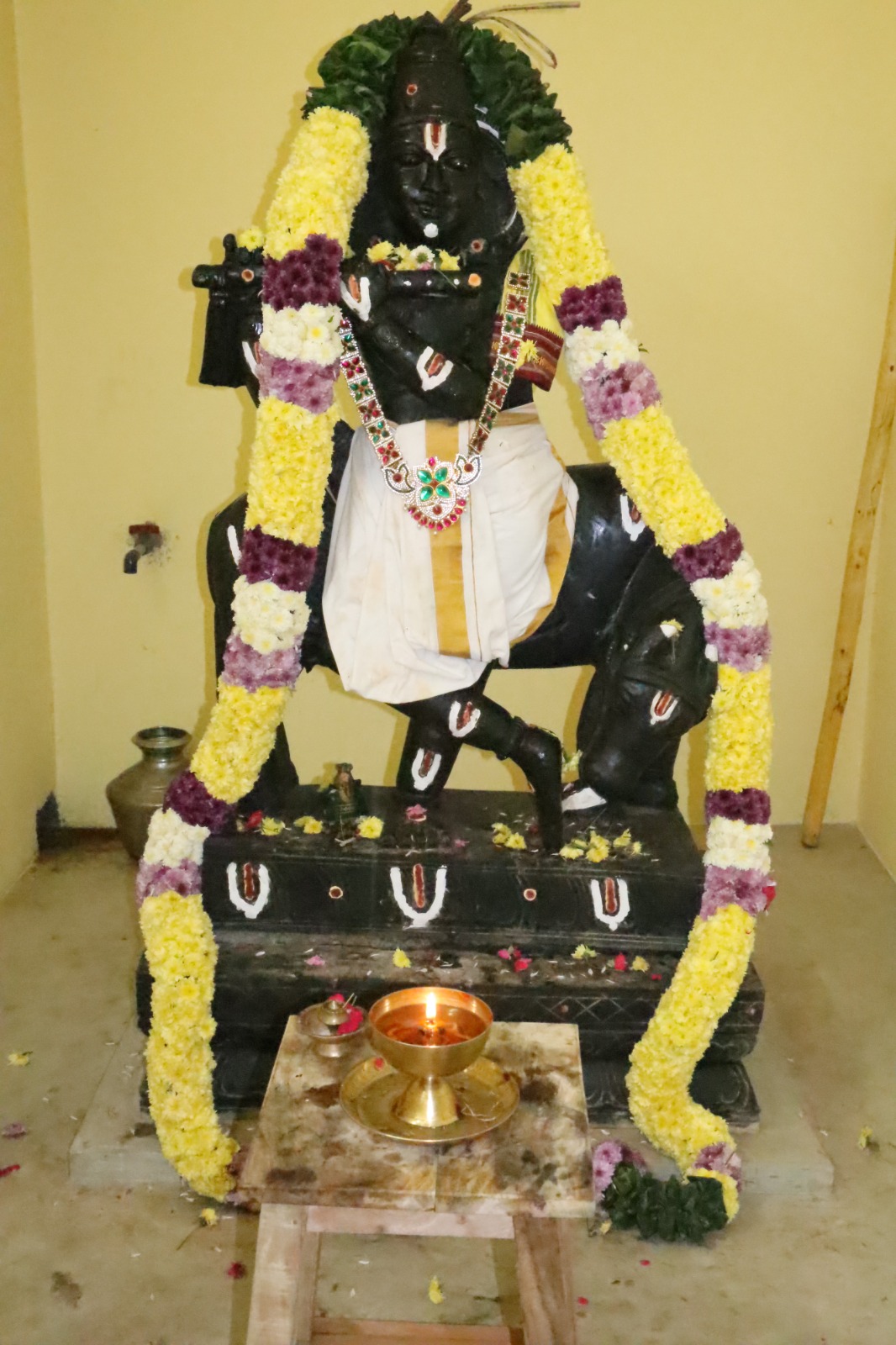 WhatsApp Image 2026-02-08 at 4.30.04 PM