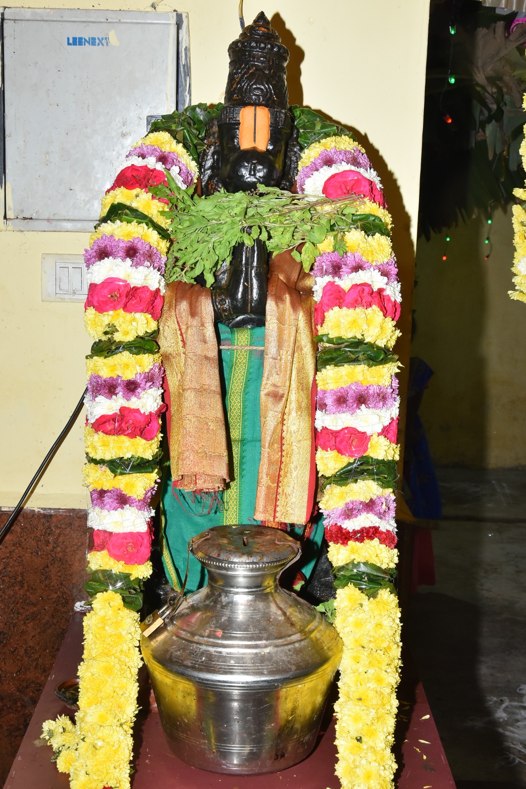 WhatsApp Image 2026-02-08 at 5.02.26 PM