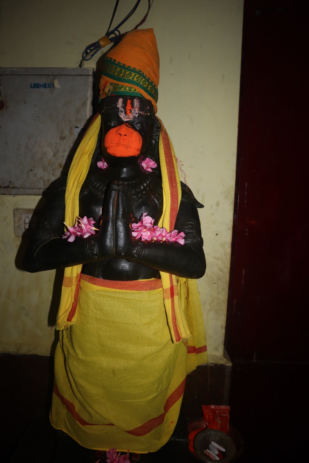 WhatsApp Image 2026-02-08 at 5.04.38 PM