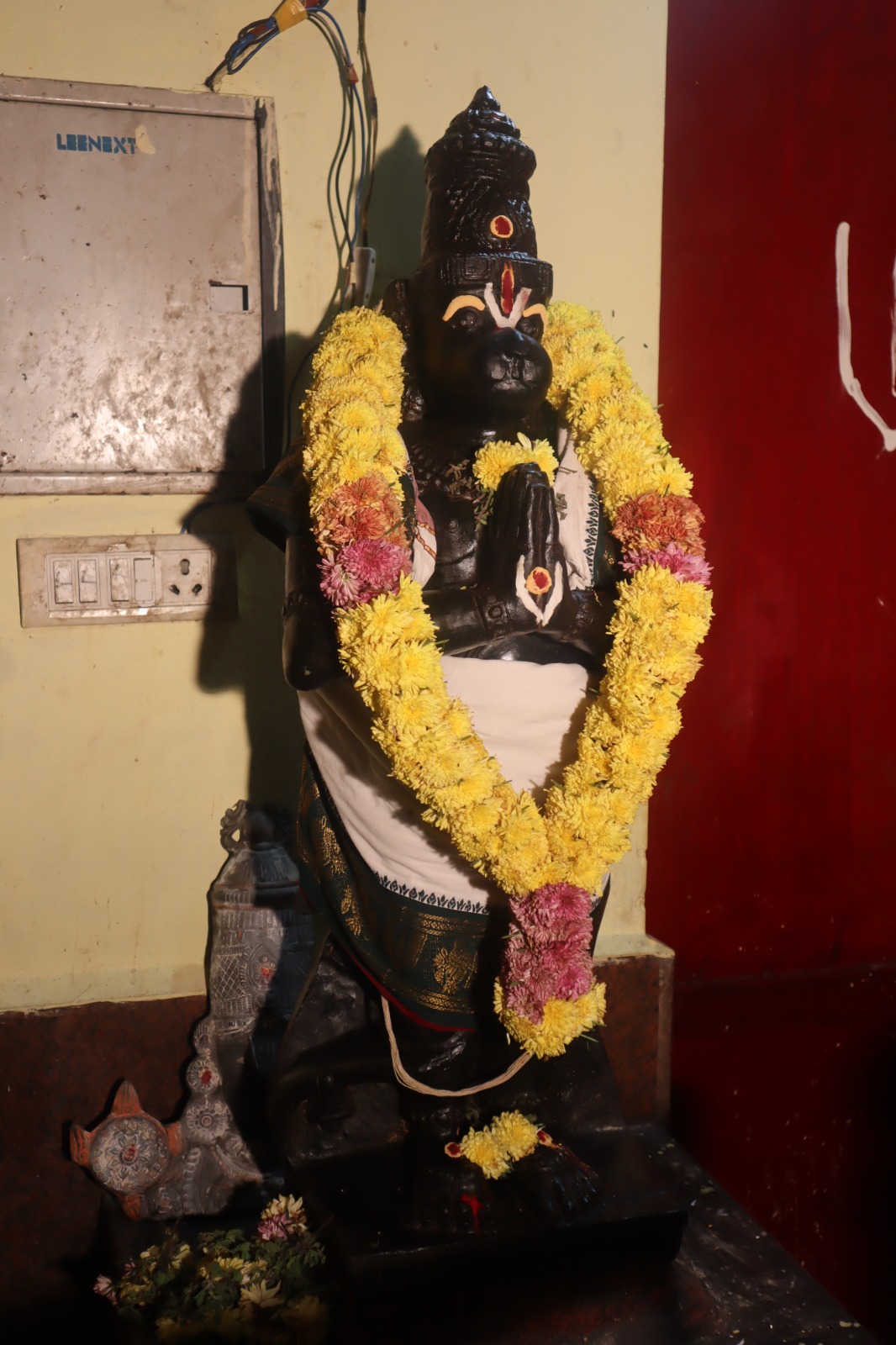 WhatsApp Image 2026-02-08 at 5.05.01 PM